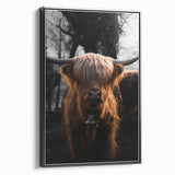 Majestic Highland Cow - Rustic Farmhouse Animal Art
