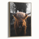 Majestic Highland Cow - Rustic Farmhouse Animal Art