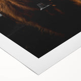 Majestic Highland Cow - Rustic Farmhouse Animal Art