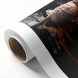 Majestic Highland Cow - Rustic Farmhouse Animal Art