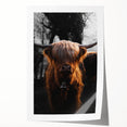 Majestic Highland Cow - Rustic Farmhouse Animal Art