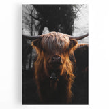 Majestic Highland Cow - Rustic Farmhouse Animal Art