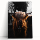 Majestic Highland Cow - Rustic Farmhouse Animal Art