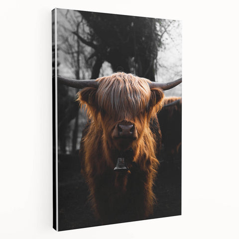 Majestic Highland Cow - Rustic Farmhouse Animal Art