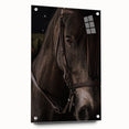Intimate Horse Portrait - Deep Rustic Equine Art