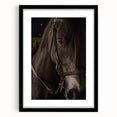 Intimate Horse Portrait - Deep Rustic Equine Art