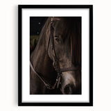 Intimate Horse Portrait - Deep Rustic Equine Art