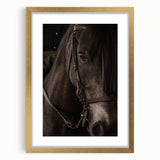 Intimate Horse Portrait - Deep Rustic Equine Art