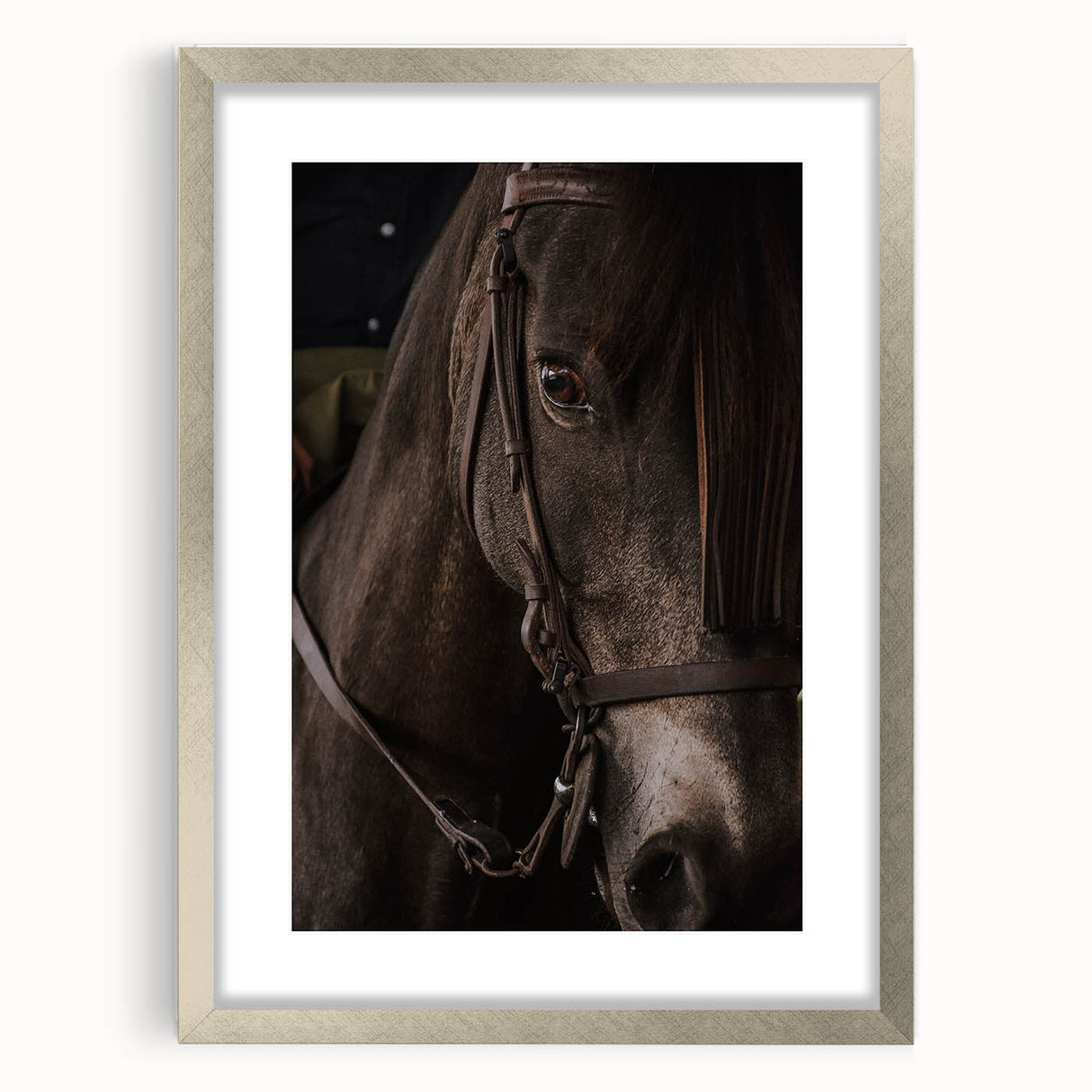 Intimate Horse Portrait - Deep Rustic Equine Art