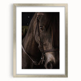 Intimate Horse Portrait - Deep Rustic Equine Art