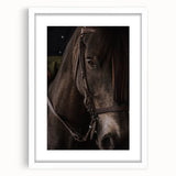 Intimate Horse Portrait - Deep Rustic Equine Art
