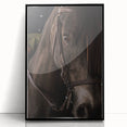 Intimate Horse Portrait - Deep Rustic Equine Art