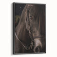 Intimate Horse Portrait - Deep Rustic Equine Art