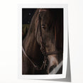 Intimate Horse Portrait - Deep Rustic Equine Art