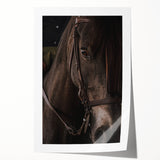 Intimate Horse Portrait - Deep Rustic Equine Art