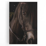 Intimate Horse Portrait - Deep Rustic Equine Art