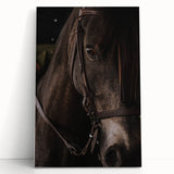 Intimate Horse Portrait - Deep Rustic Equine Art