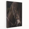 Intimate Horse Portrait - Deep Rustic Equine Art