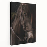 Intimate Horse Portrait - Deep Rustic Equine Art