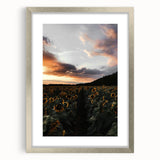 Sunset Sunflower Field - Rustic Floral Landscape Art