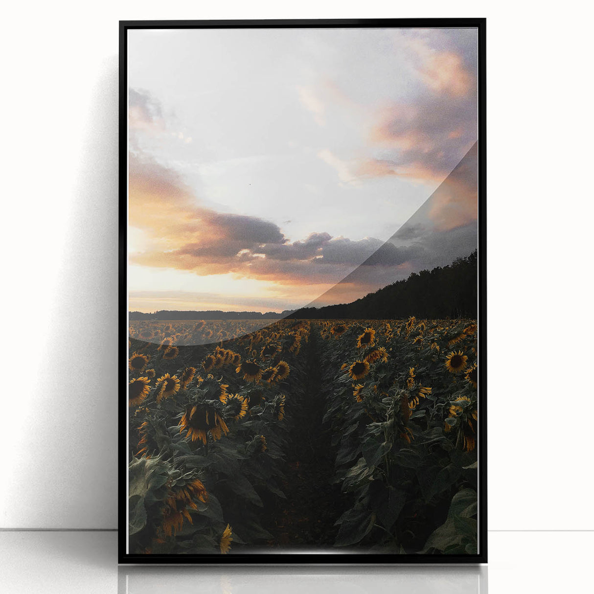 Sunset Sunflower Field - Rustic Floral Landscape Art