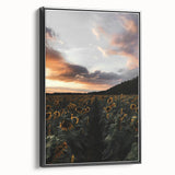 Sunset Sunflower Field - Rustic Floral Landscape Art