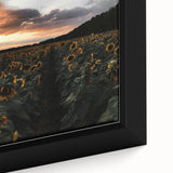 Sunset Sunflower Field - Rustic Floral Landscape Art