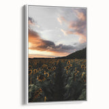 Sunset Sunflower Field - Rustic Floral Landscape Art