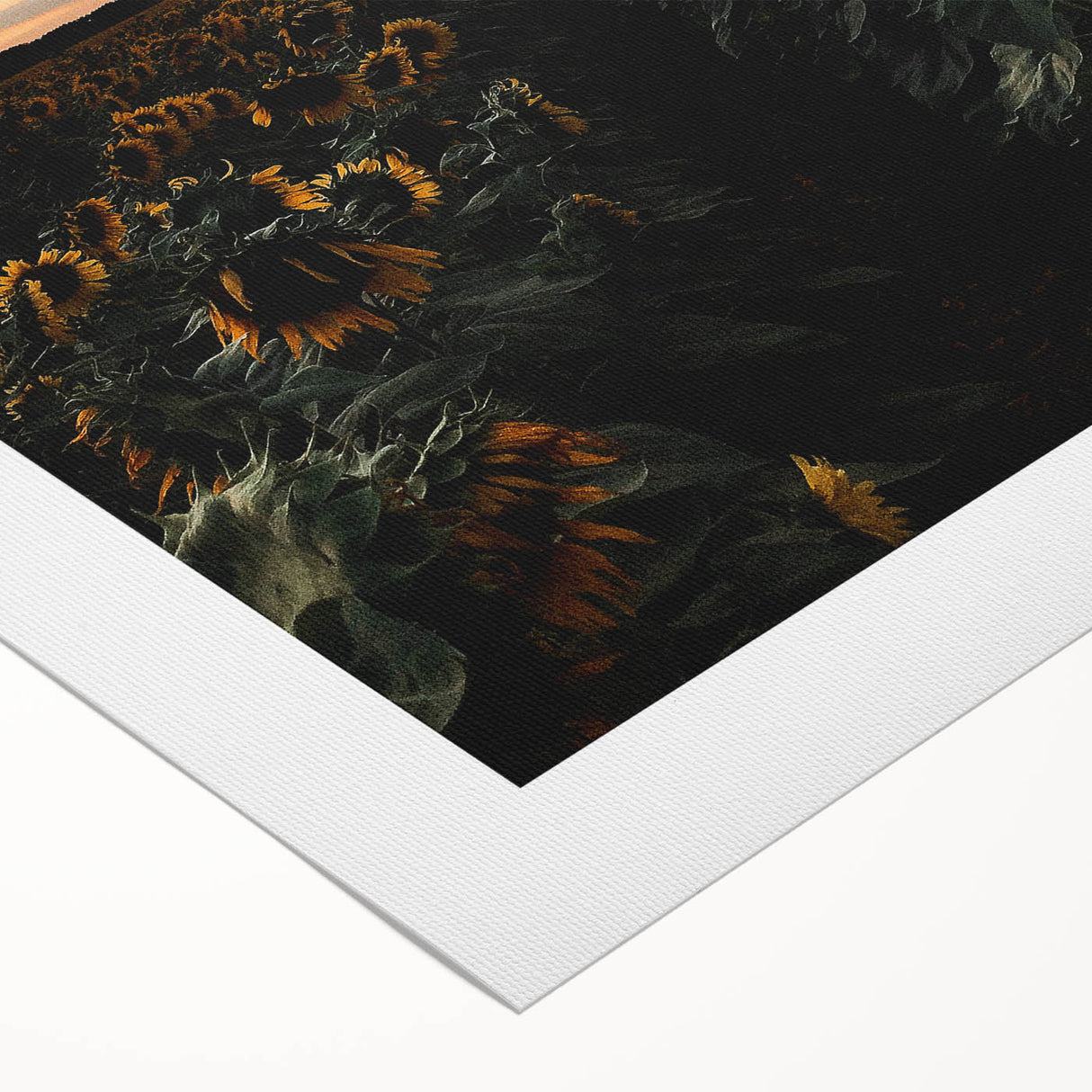 Sunset Sunflower Field - Rustic Floral Landscape Art