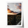 Sunset Sunflower Field - Rustic Floral Landscape Art