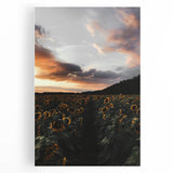 Sunset Sunflower Field - Rustic Floral Landscape Art