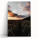 Sunset Sunflower Field - Rustic Floral Landscape Art