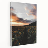Sunset Sunflower Field - Rustic Floral Landscape Art