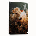 Golden Field Cow - Tranquil Rustic Farm Art