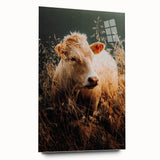 Golden Field Cow - Tranquil Rustic Farm Art