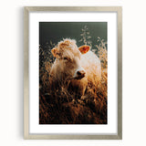 Golden Field Cow - Tranquil Rustic Farm Art