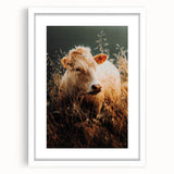 Golden Field Cow - Tranquil Rustic Farm Art