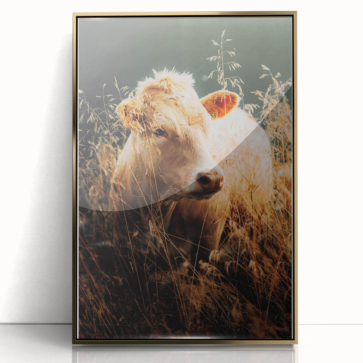 Golden Field Cow - Tranquil Rustic Farm Art