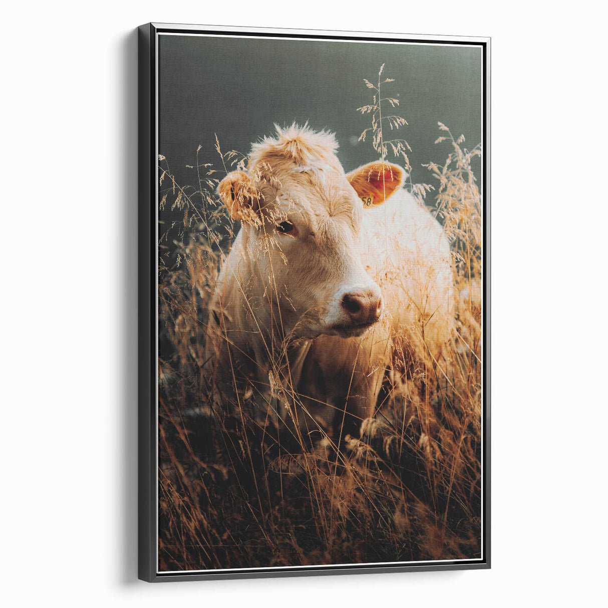 Golden Field Cow - Tranquil Rustic Farm Art