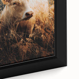 Golden Field Cow - Tranquil Rustic Farm Art