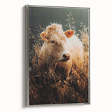 Golden Field Cow - Tranquil Rustic Farm Art