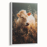 Golden Field Cow - Tranquil Rustic Farm Art
