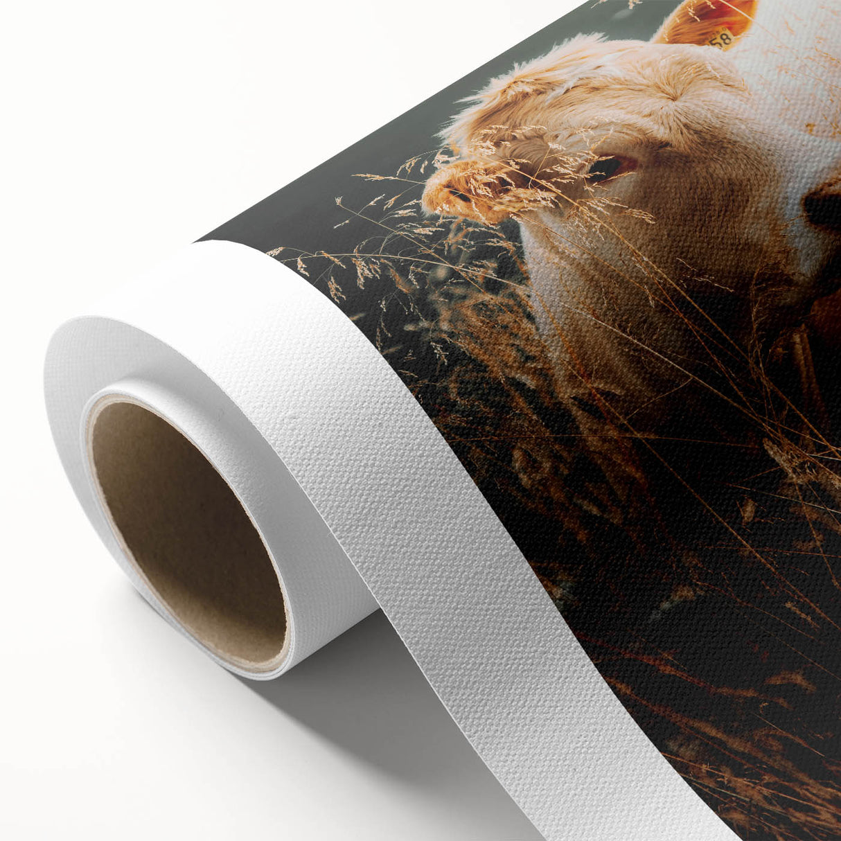 Golden Field Cow - Tranquil Rustic Farm Art