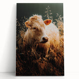 Golden Field Cow - Tranquil Rustic Farm Art