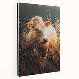 Golden Field Cow - Tranquil Rustic Farm Art