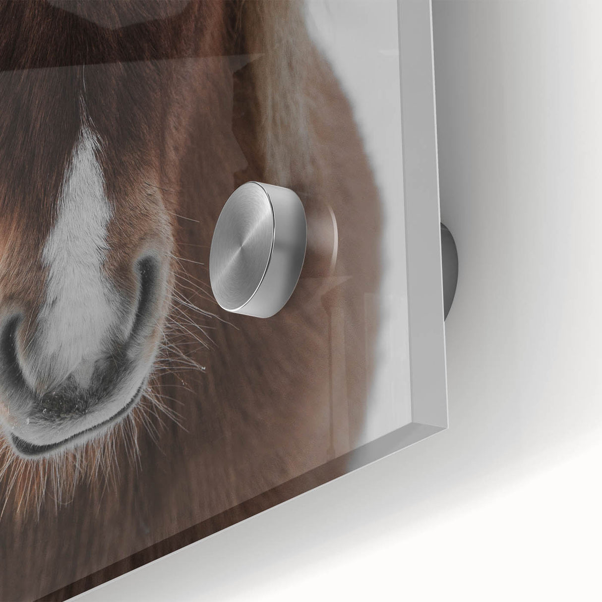 Winter Horse Portrait - Rustic Farmhouse Animal Art