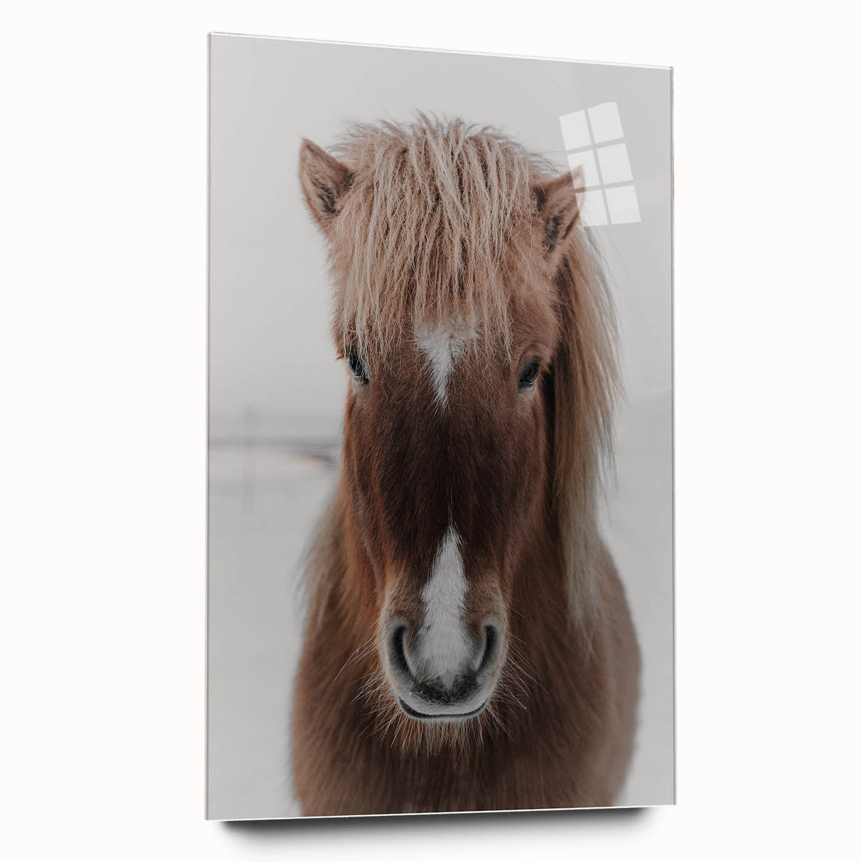 Winter Horse Portrait - Rustic Farmhouse Animal Art