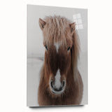 Winter Horse Portrait - Rustic Farmhouse Animal Art