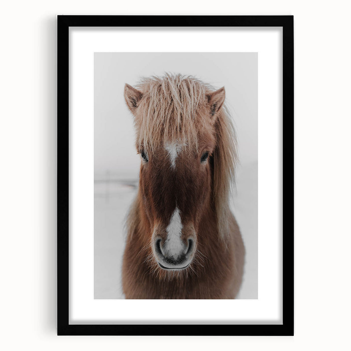 Winter Horse Portrait - Rustic Farmhouse Animal Art