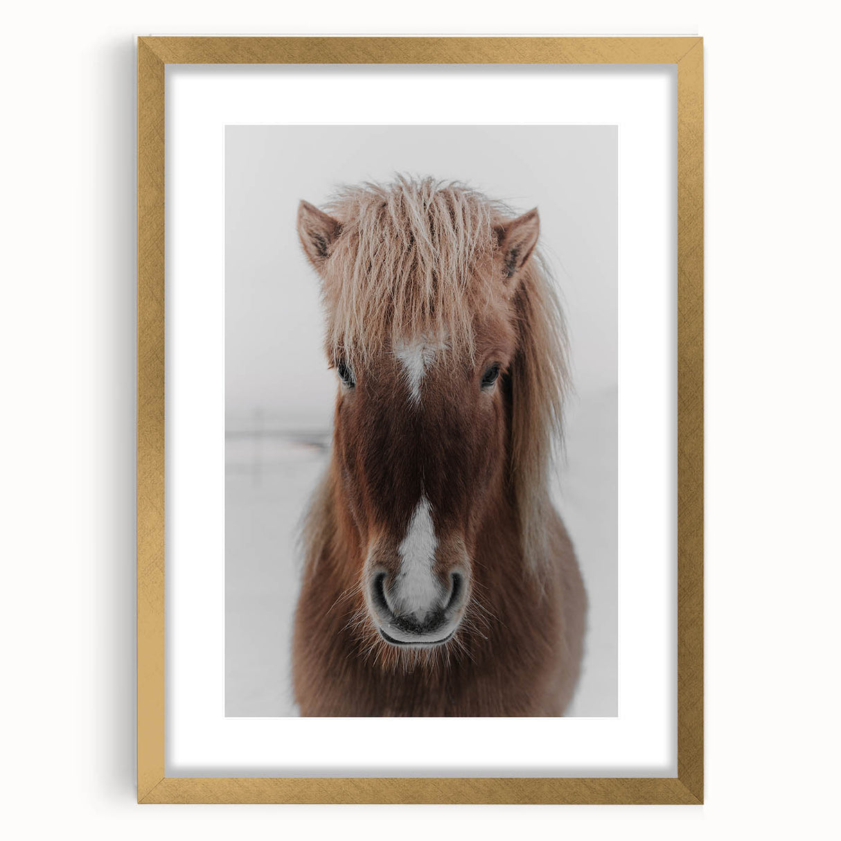 Winter Horse Portrait - Rustic Farmhouse Animal Art